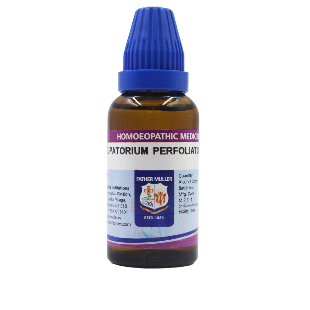 Father Muller Eupatorium Perfoliatum Dilution