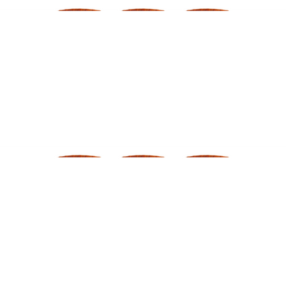 Patanjali Brhat Gangadhar Curna - 50 gm