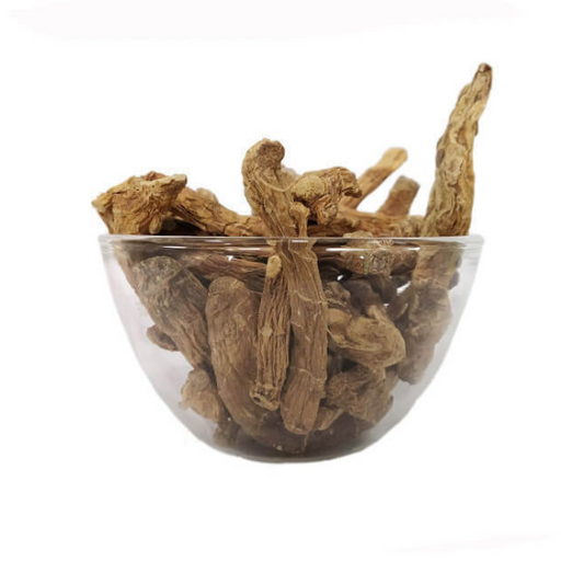 Buy Parsnip (Greater Galangal Root)  -  100% Pure & Organic Thuluk Root from DrMediCart, Ship from India to USA
