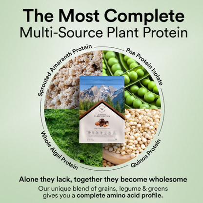 Wellbeing Nutrition Organic Plant Protein Isolate Dark Chocolate Hazelnut, 3B CFU Probiotics