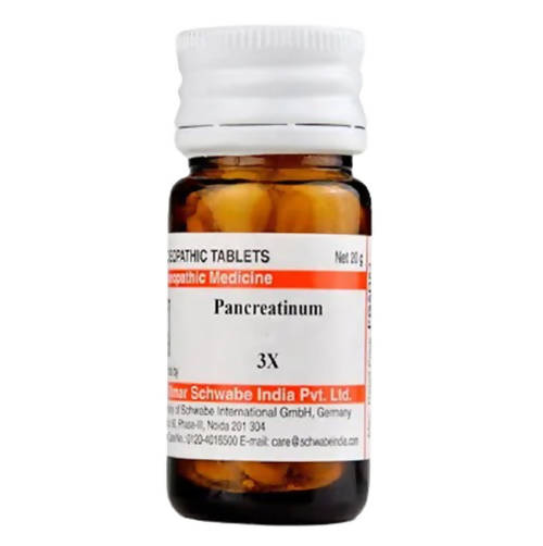 Buy Dr. Willmar Schwabe India Pancreatinum Trituration Tablets from DrMediCart, Ship from India to USA