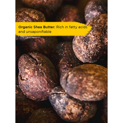 L'Occitane Shea Butter Ultra Light Body Cream