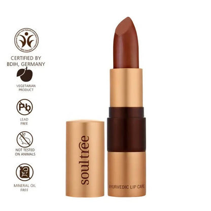 Soultree Ayurvedic Lipstick Copper Mine 213