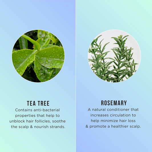 Buy HASK Tea Tree Oil & Rosemary Invigorating Shampoo And Conditioner from DrMediCart, Ship from India to USA