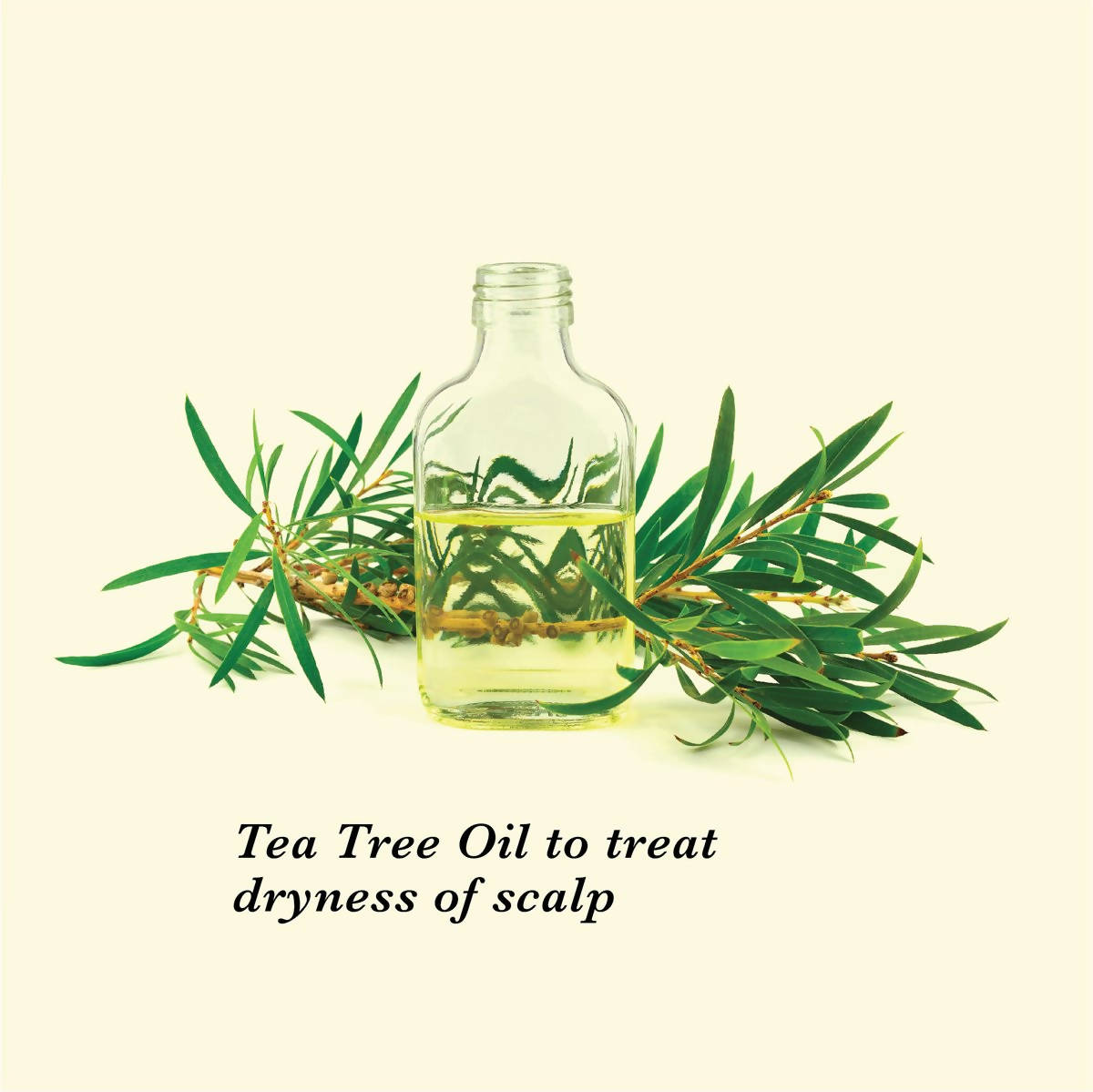 True Frog Dandruff Care Bundle - Drmedicart