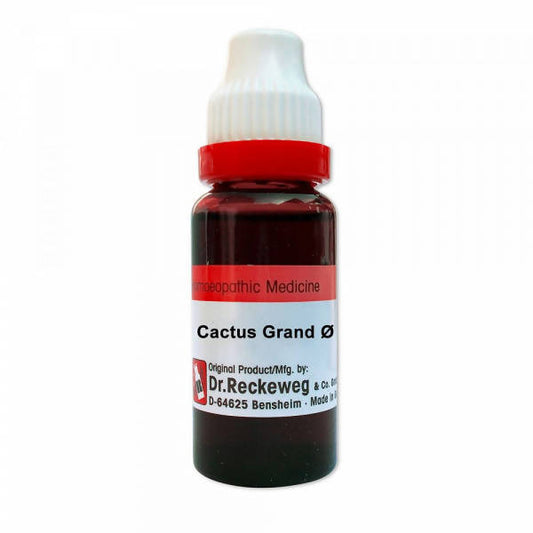 Buy Dr. Reckeweg Cactus Grand Mother Tincture Q from DrMediCart, Ship from India to USA