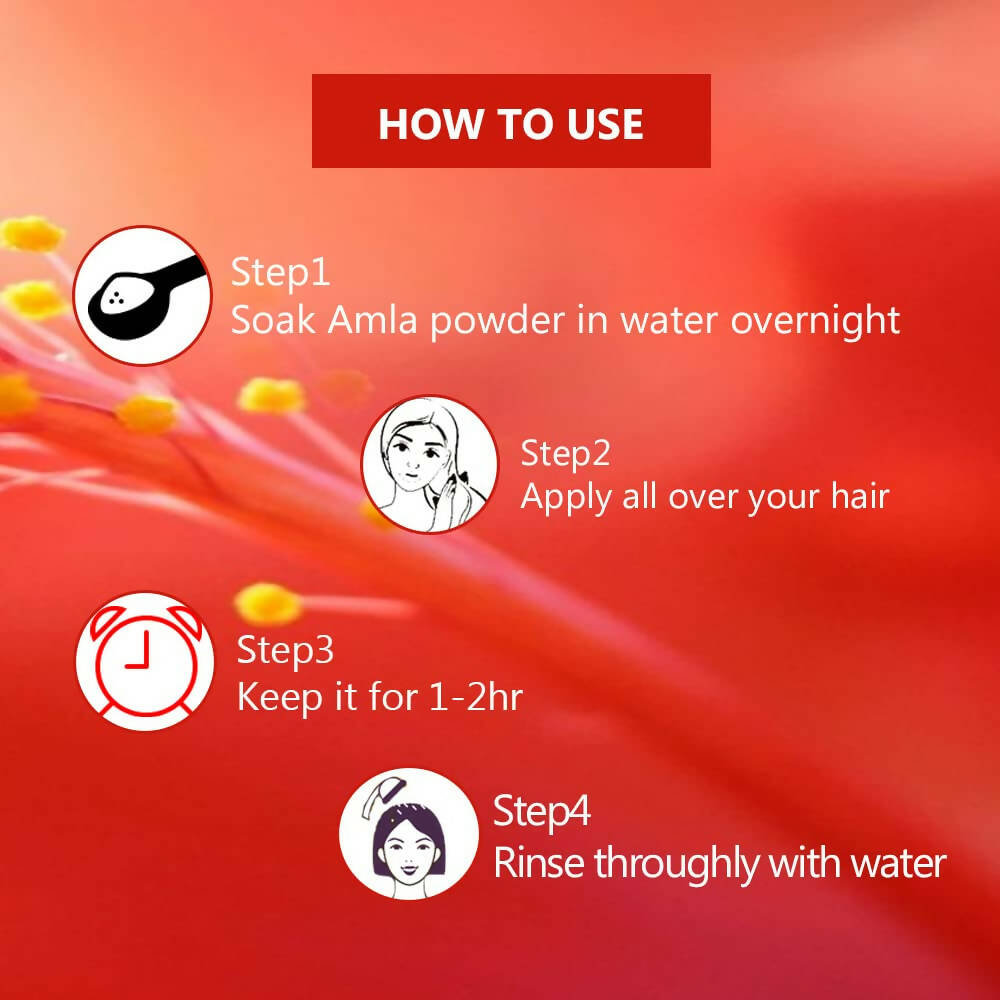 Syndy Pharma Hibiscus Powder for Hair