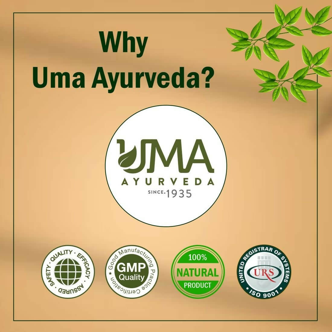 Uma Ayurveda Sanjeevani Vati