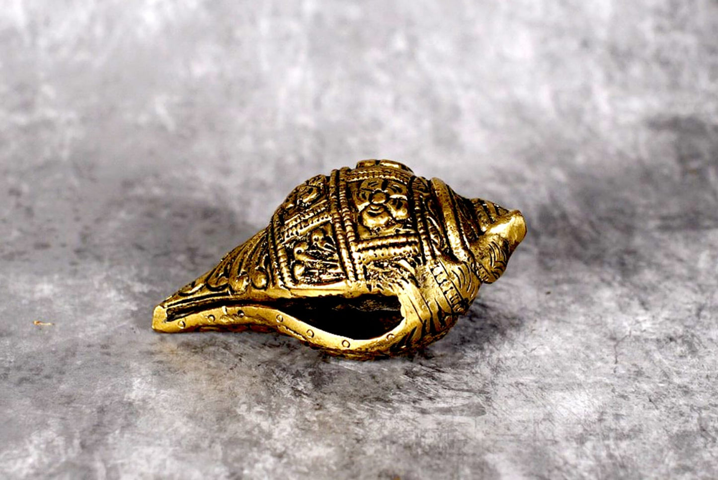 Buy Sri Rudra Shanku Small (2.5X3.6) Ã¢â‚¬â€œ SR 02240
