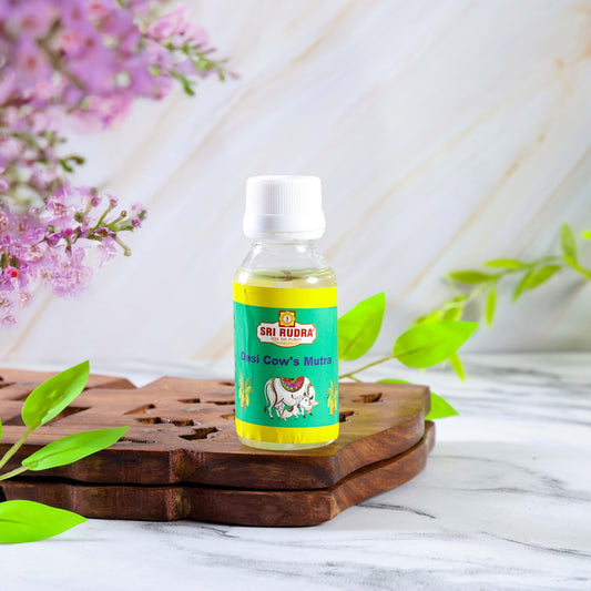 Buy Sri Rudra Panchakvyam (EAN 8906101490370)