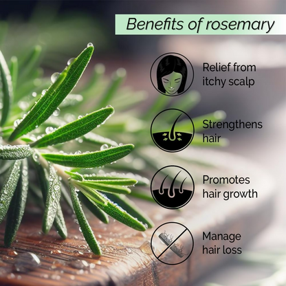 Pyoura Rosemary Water Spray For Hair Fall Control Natural Non-Greasy Heat Protection Serum Mist Toner