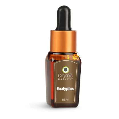 Organic Harvest Eucalyptus Essential Oil