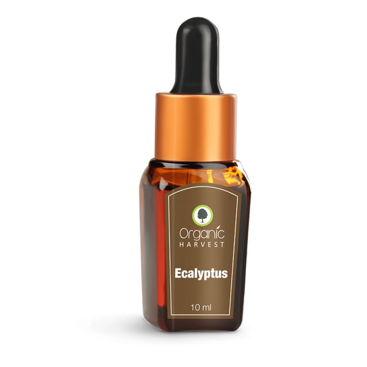 Organic Harvest Eucalyptus Essential Oil