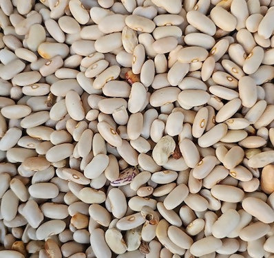 Buy Hetha Himalayan White Rajma from DrMediCart