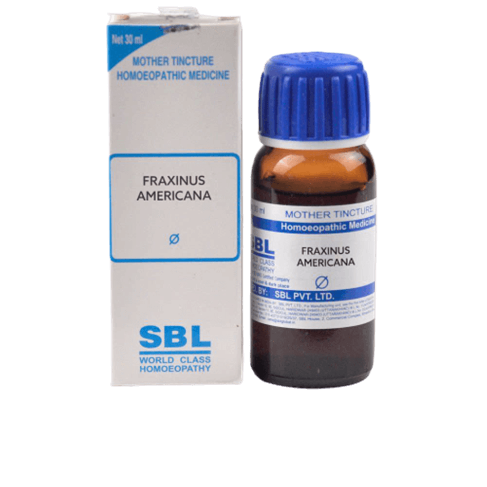 Buy SBL Homeopathy Fraxinus Americana Mother Tincture Q from DrMediCart, Ship from India to USA