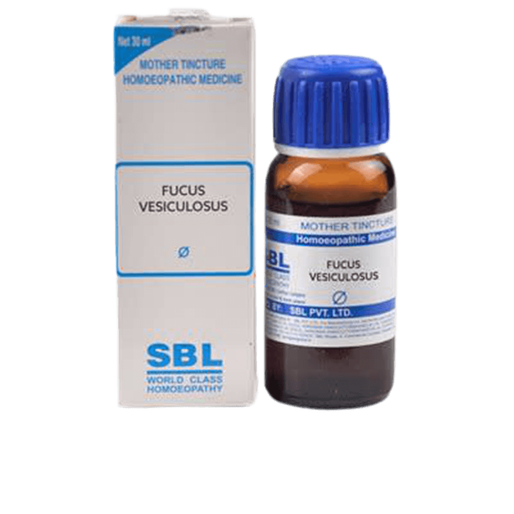 Buy SBL Homeopathy Fucus Vesiculosus Mother Tincture Q from DrMediCart, Ship from India to USA