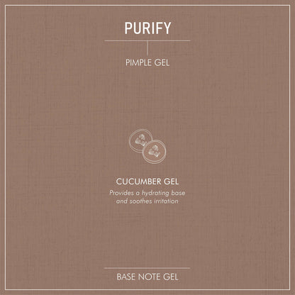 Secret Alchemist Purify Pimple Gel