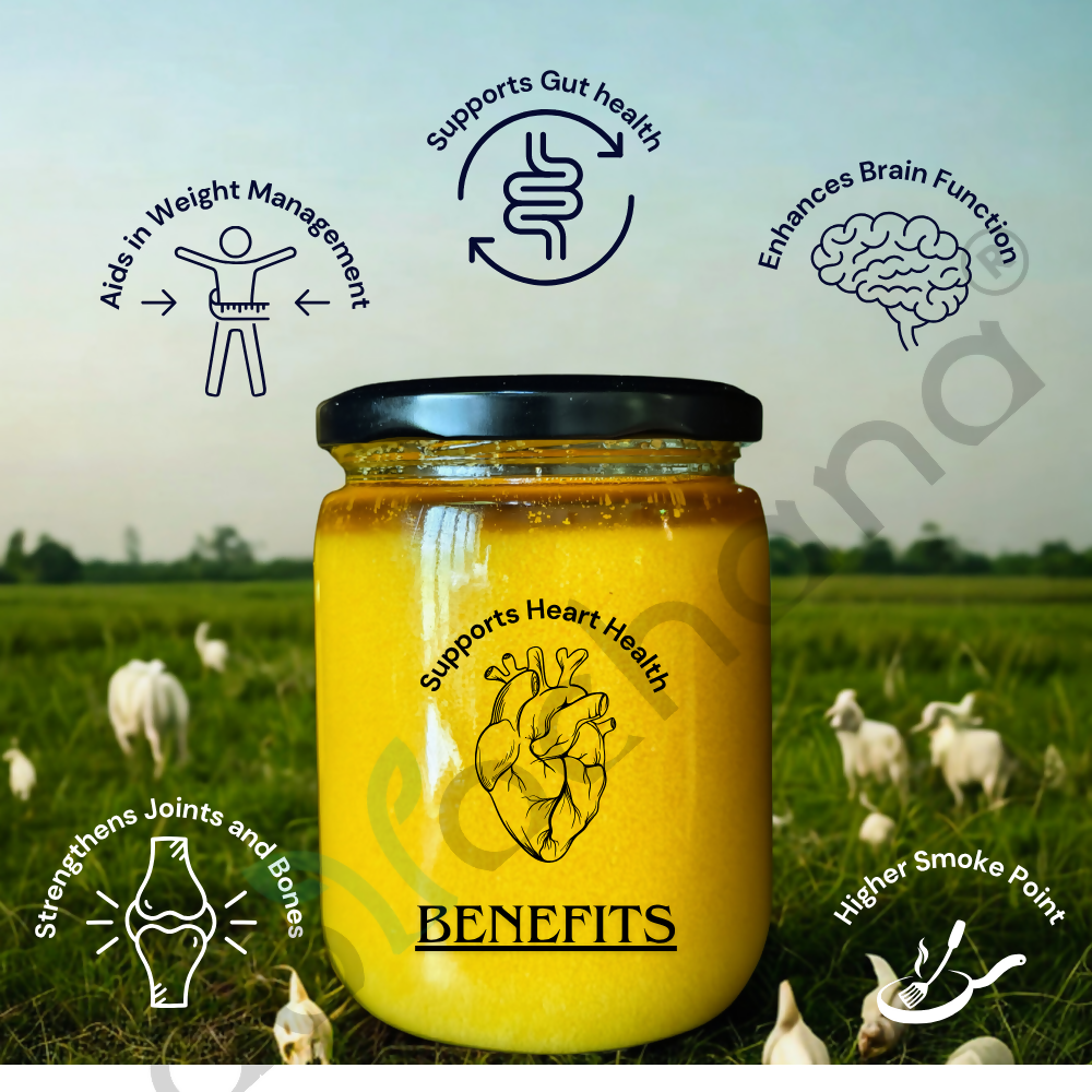 Tatsat Full Moon Day Ghee From Forest Gazing Amruth Mahal A2 Cows | Indian Hallikar Cow Ghee, Pure A2 Ghee, Natural & Healthy, Non-GMO