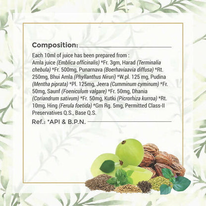 Four Seasons Udar Amrit Juice