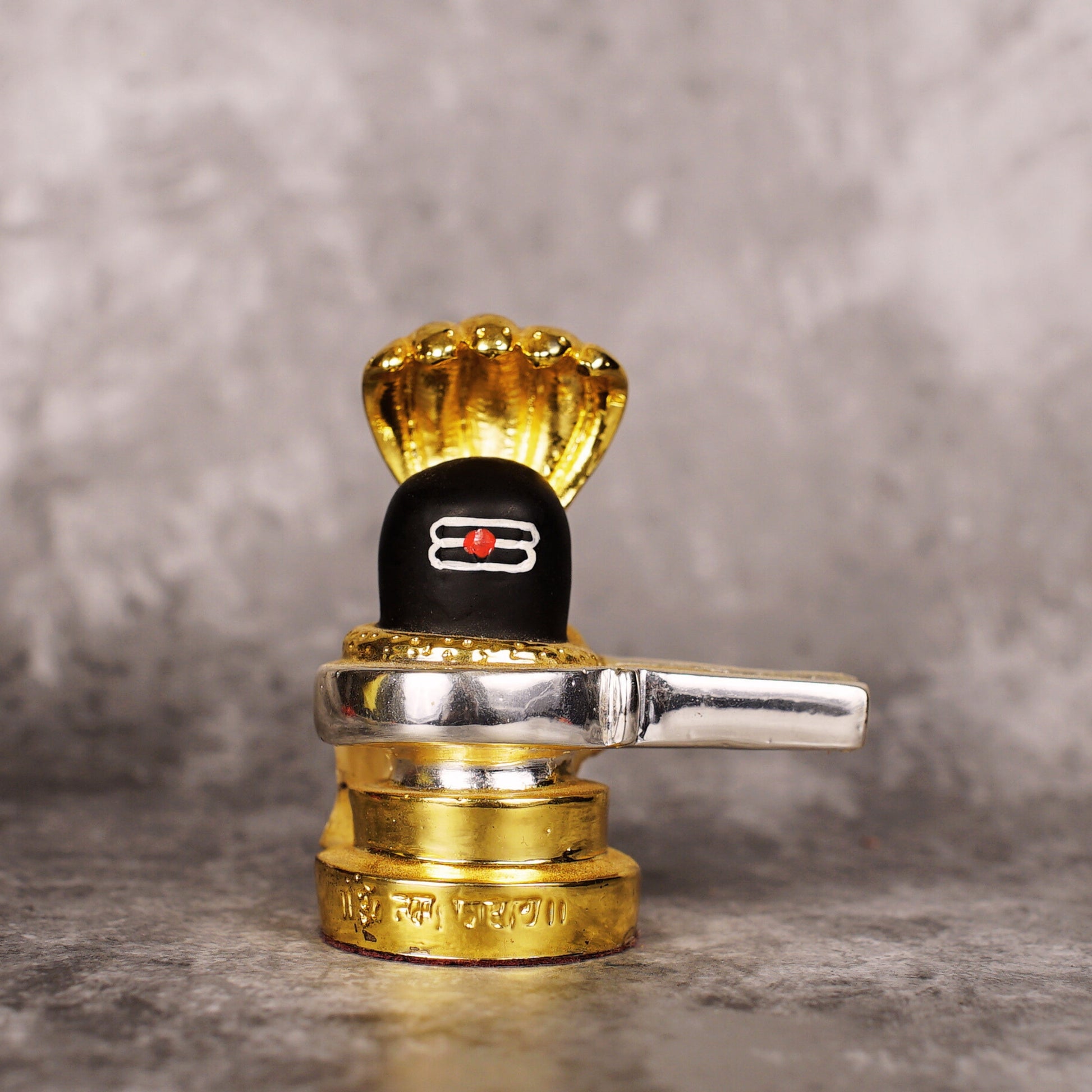 Buy Sri Rudra Shiva Lingam (SR 00234)