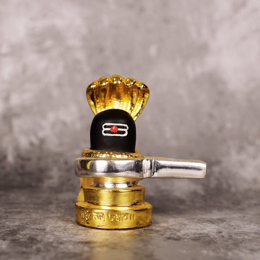 Buy Sri Rudra Shiva Lingam (SR 00234)