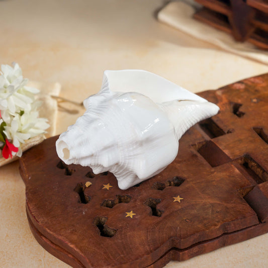 Buy Sri Rudra Blowing Shank Big (SR 03095)