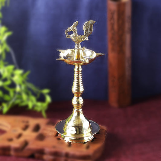 Buy Sri Rudra Keala Fancy Murga (SR 03370
