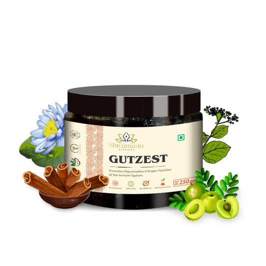 Shivamastu Ayurveda Gutzest Chyawanprash