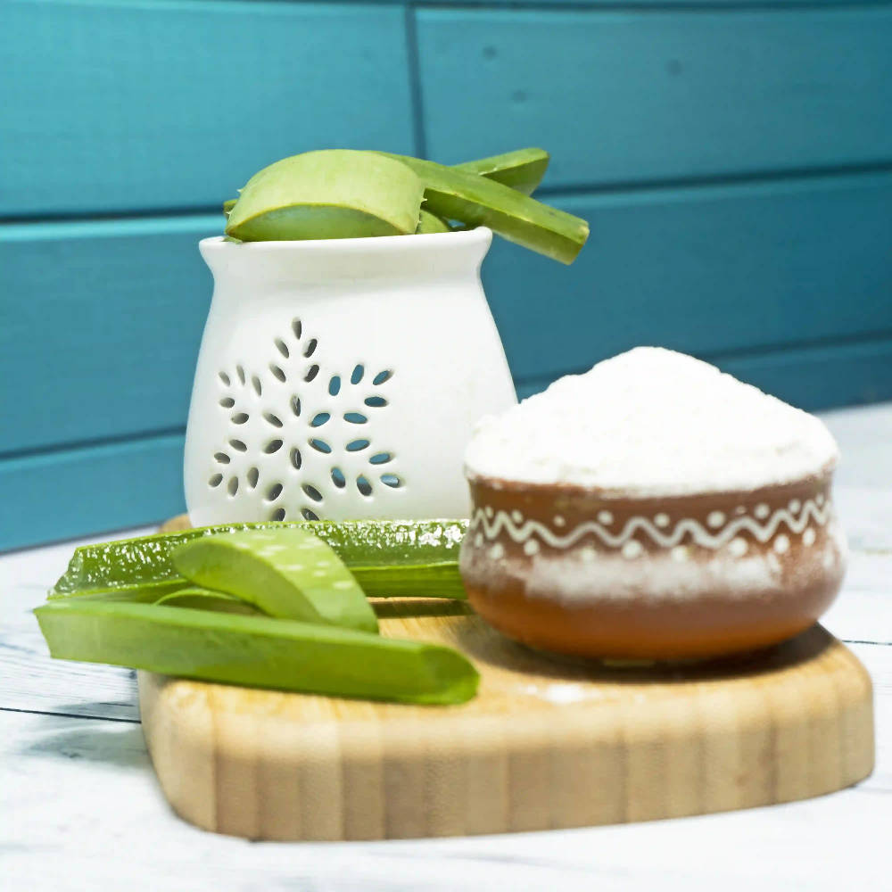The Wellness Shop Organic Aloe Vera Gel Powder - Drmedicart