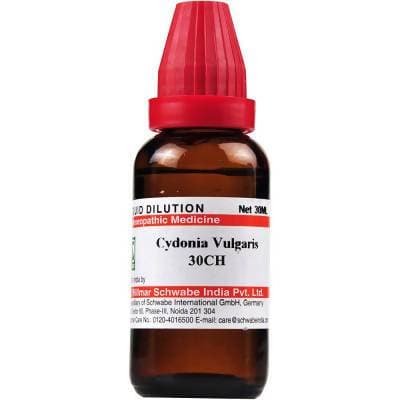 Buy Dr Willmar Schwabe India Cydonia Vulgaris Dilution from DrMediCart, Ship from India to USA