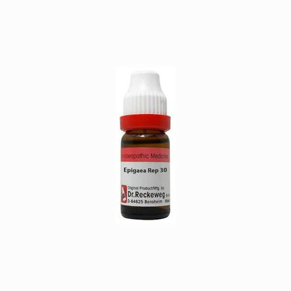 Dr. Reckeweg Epigaea Rep Dilution