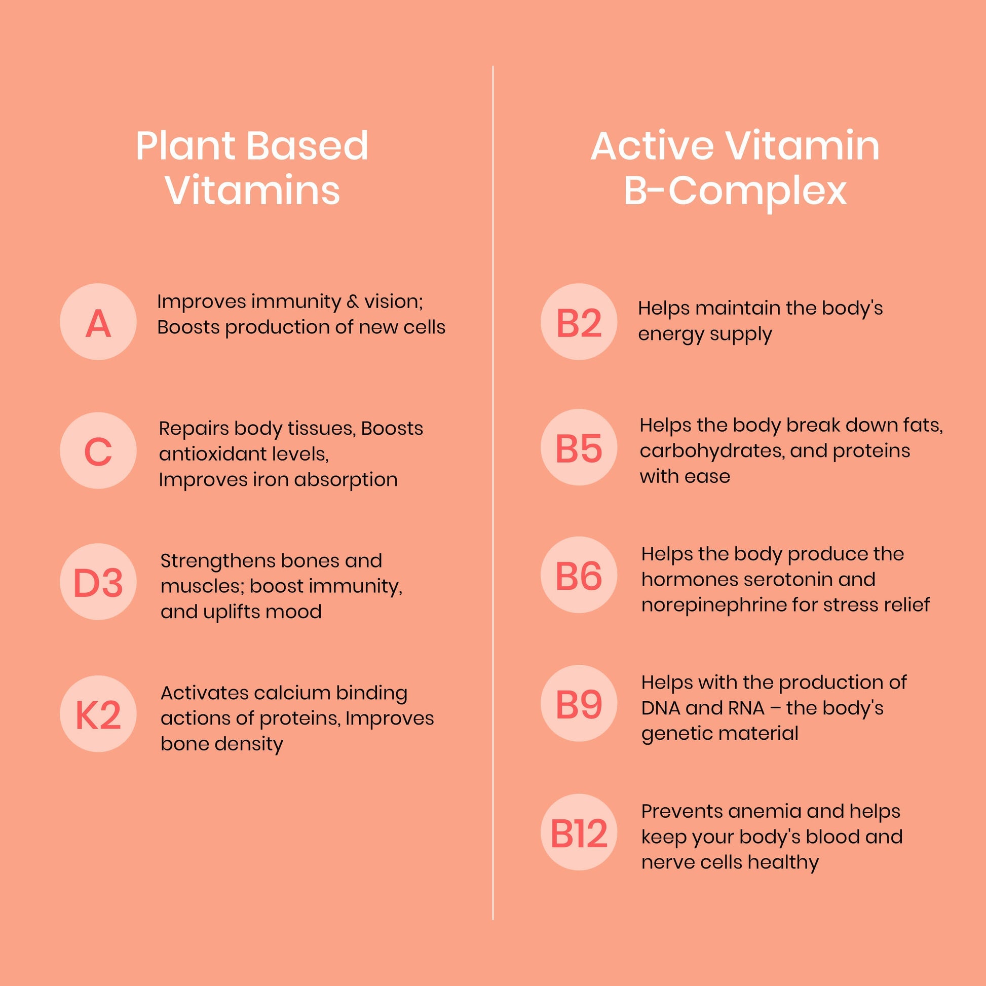 Wellbeing Nutrition Melts Into Multivitamins Oral Strips-Divine Alphonso Mango Flavor - Drmedicart
