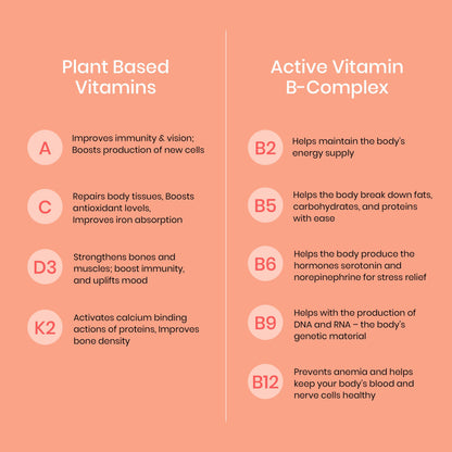 Wellbeing Nutrition Melts Into Multivitamins Oral Strips-Divine Alphonso Mango Flavor - Drmedicart