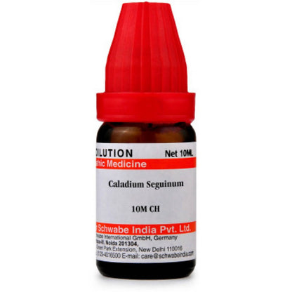 Dr. Willmar Schwabe India Caladium Seguinum Dilution