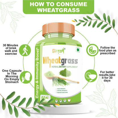 Divya Shree Wheatgrass Capsules