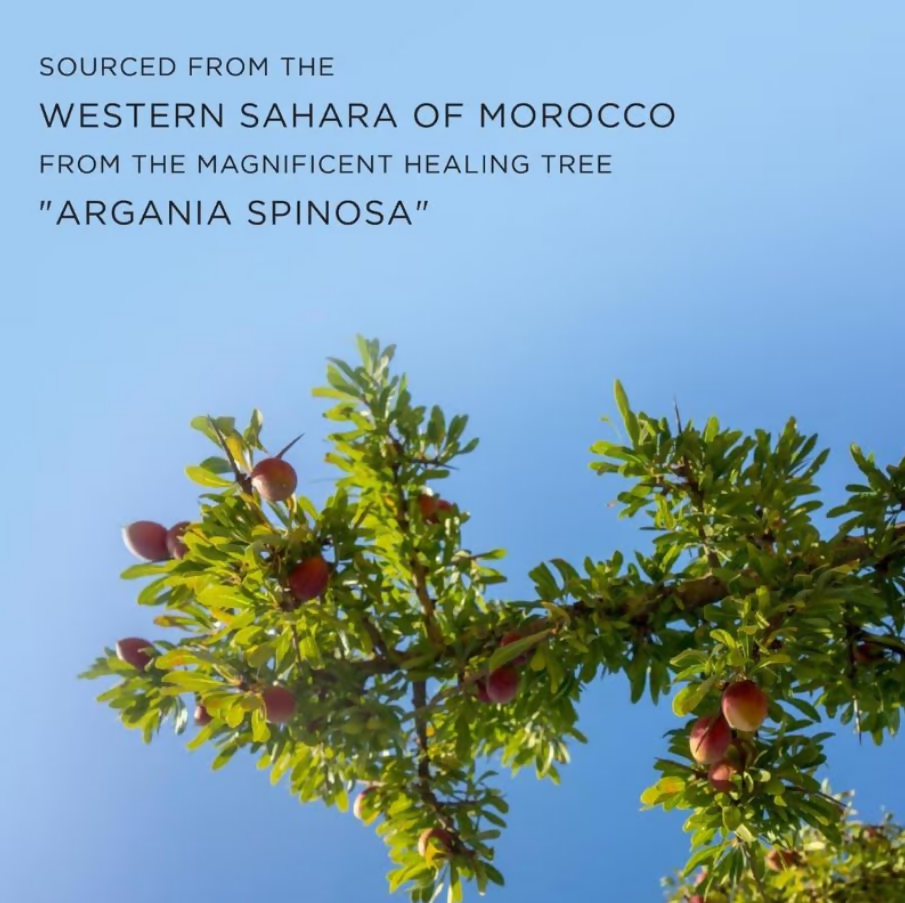 Kimirica organic Moroccan Argan Oil