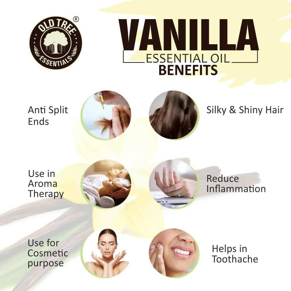 Old Tree Vanilla Essential Oil
