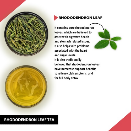 Teacurry Rhododendron Leaf Tea Bags