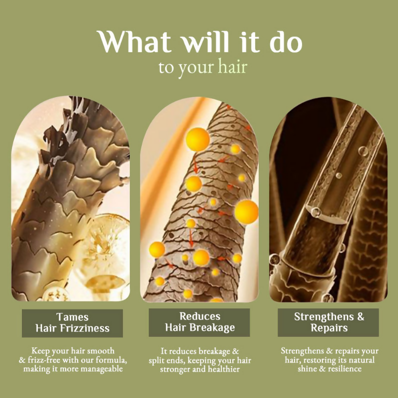 Richfeel Brahmi Hair Pack - Controls Hair Fall, Repairs Damage, Split Ends & Deeply Conditions