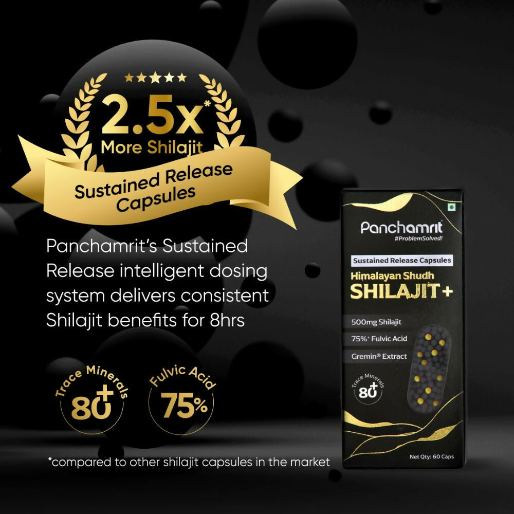 Panchamrit 8 hrs Sustained Release Capsules 500mg