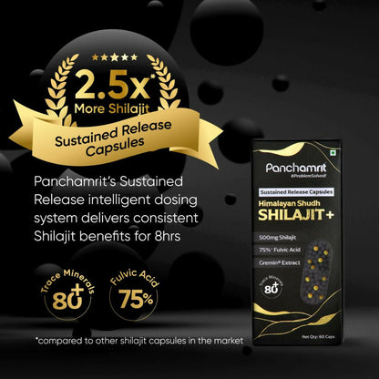 Panchamrit 8 hrs Sustained Release Capsules 500mg