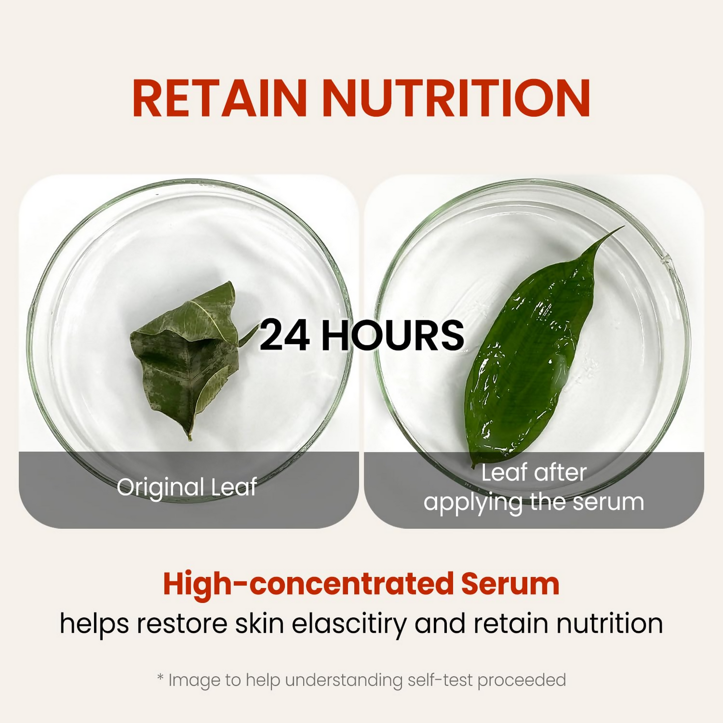 The Skin House since 1979 Wrinkle Supreme Serum