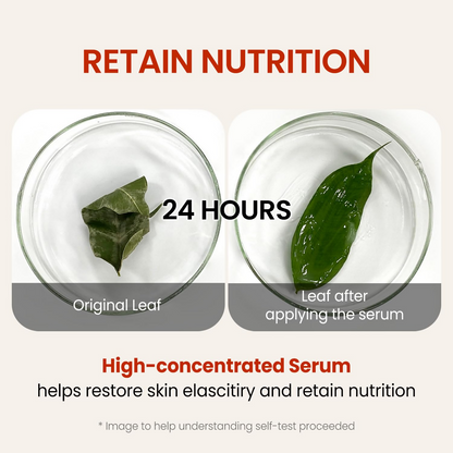 The Skin House since 1979 Wrinkle Supreme Serum