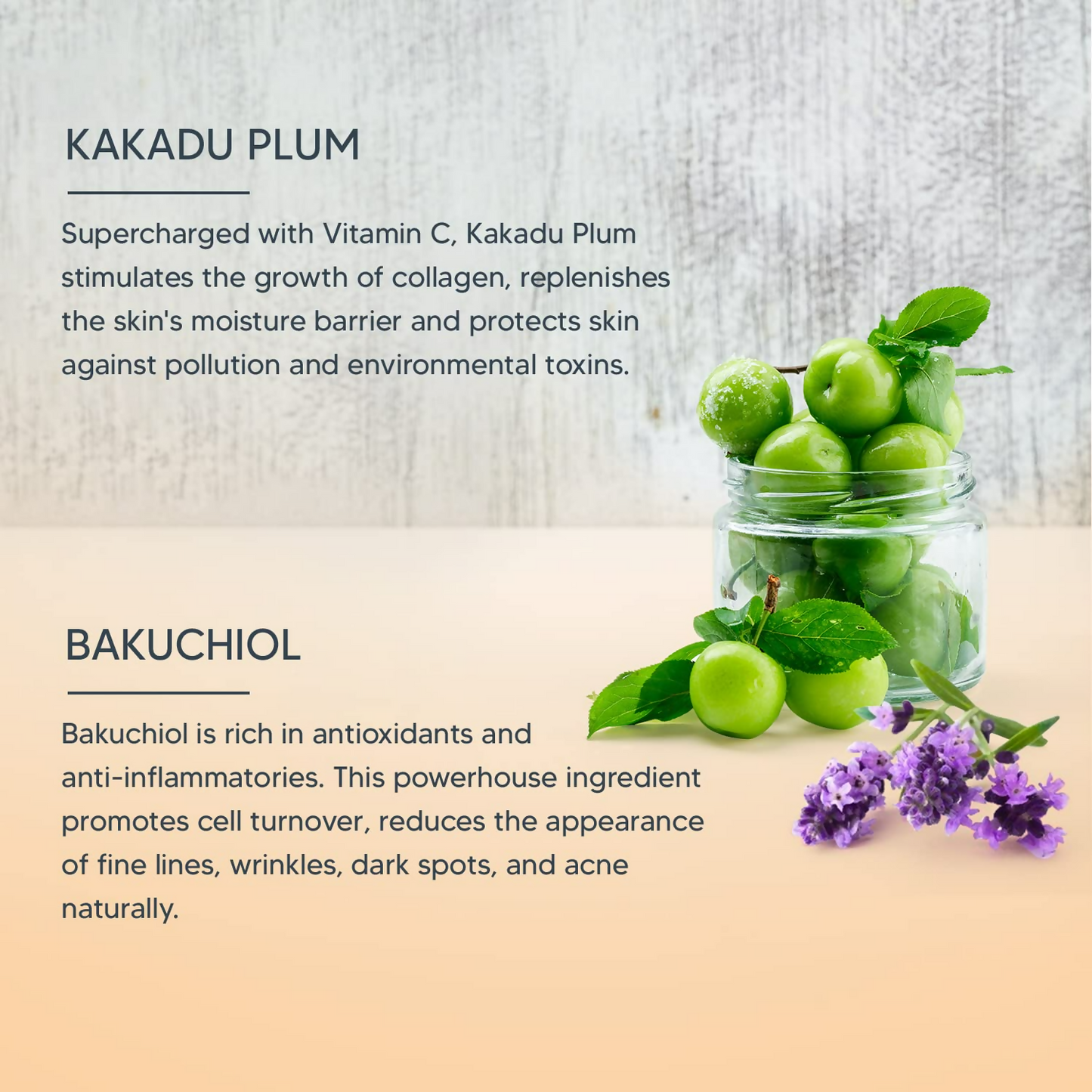 Lotus Professional Retemin Plant retinol + Vitamin C Brightening Boost Night Creme