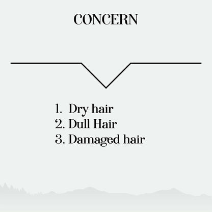 Alps Goodness Henna Based Hair Color Powder - Drmedicart