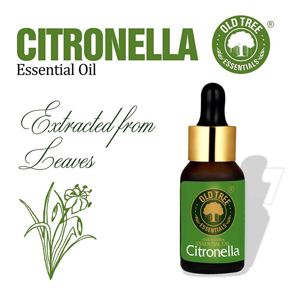 Old Tree Citronella Essential Oil