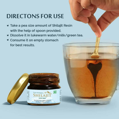 Pavanam Ayurveda Pure Himalayan Sj Resin Form