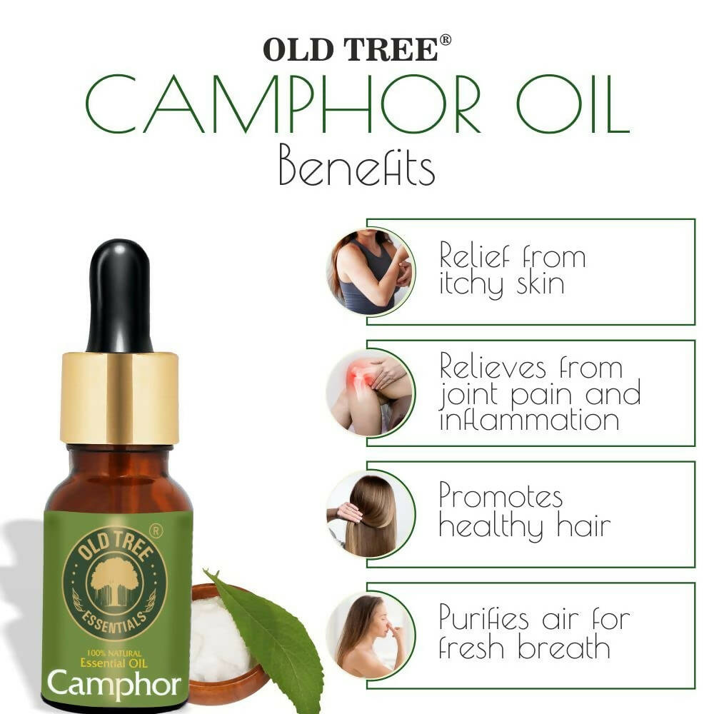 Old Tree Camphor Essential Oil