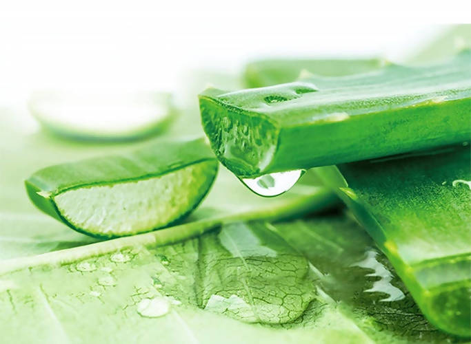 Sulfate Free potent Aloe +Bamboo Real Botanicals Strength Conditioner