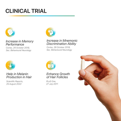 Decode Age 98% Spermidine Trihydrochloride Capsules